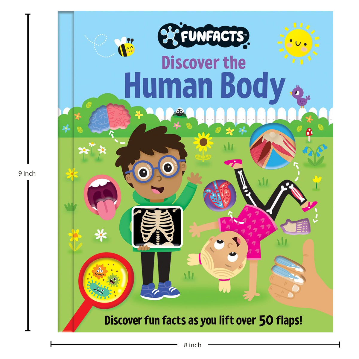 FunFacts - Lift the Flap Board Book - Discover the Human Body Educational Board Book