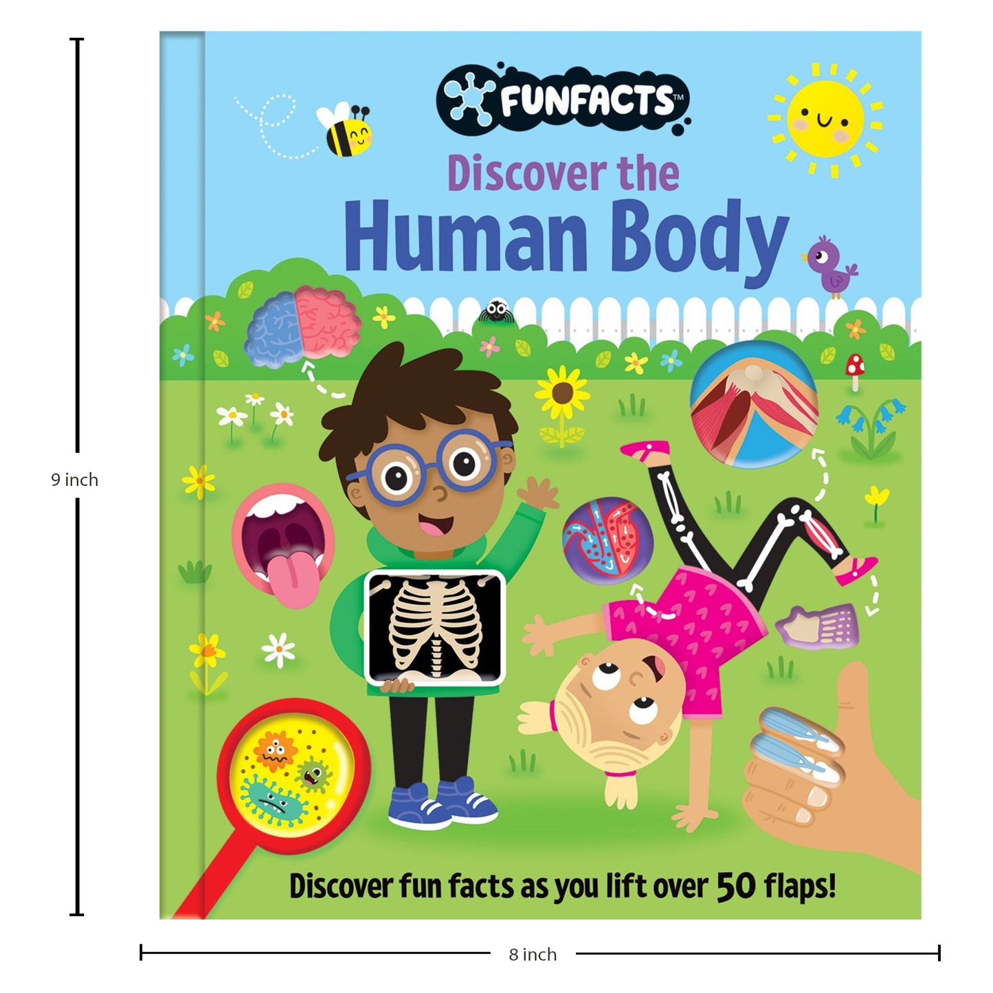 FunFacts - Lift the Flap Board Book - Discover the Human Body Educational Board Book | Early Learning | Human Body Book for Kids |Lift-the-flap Book | ... for Children | Human Anatomy facts for Kids