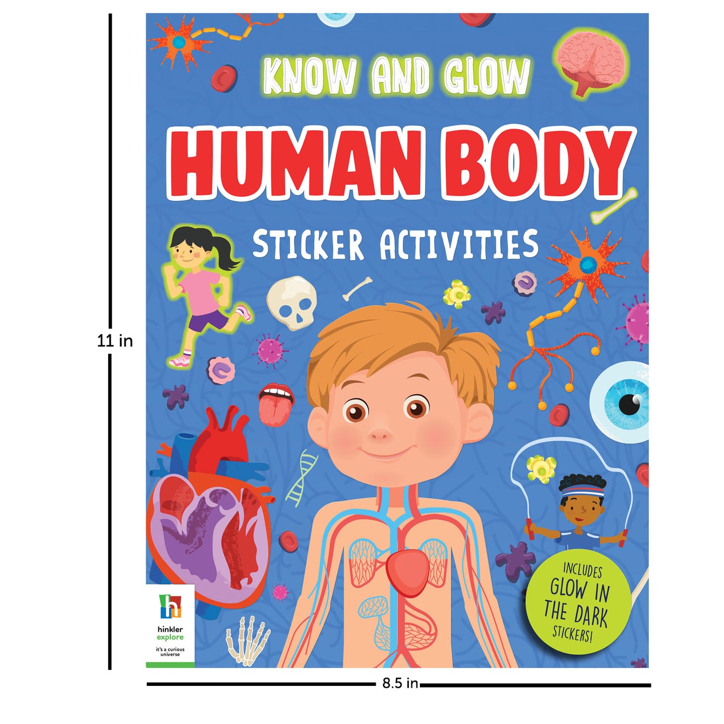 Know and Glow Human Body Sticker Activities| Sticker Activity Book | Glow Sticker Book | Fun Facts and Stickers | Activity Book | 6-8 Years