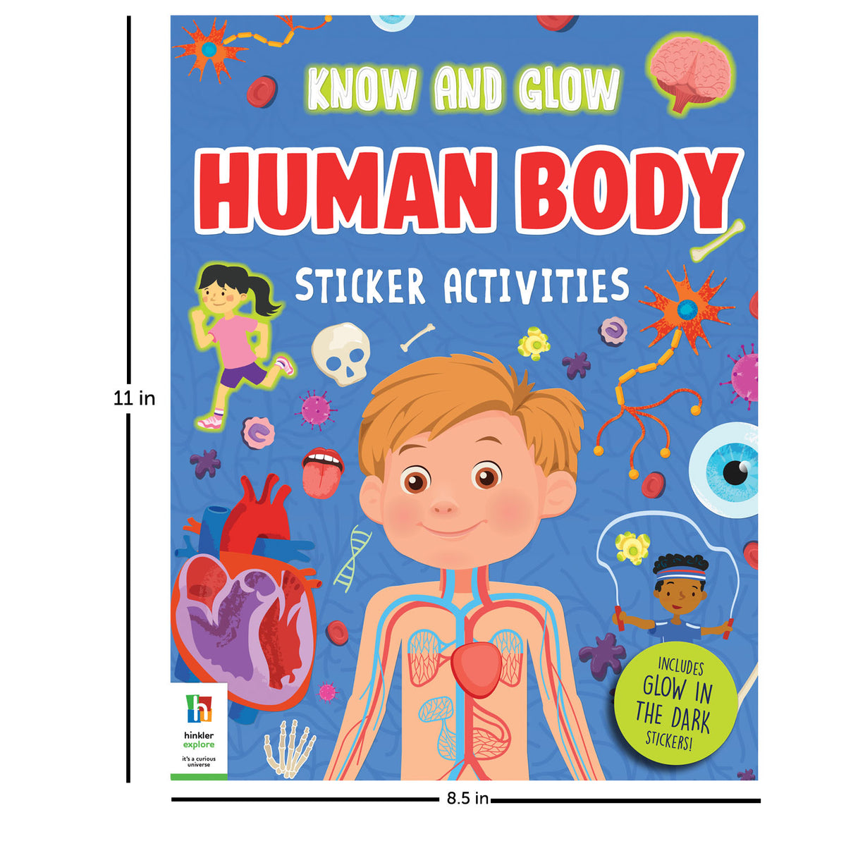 Know and Glow Human Body Sticker Activities | Sticker Activity Book | Glow Sticker Book