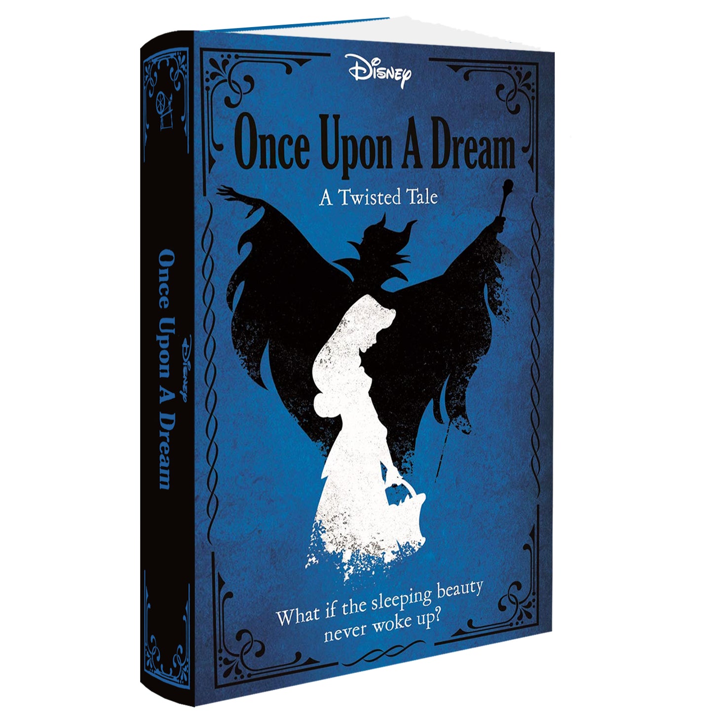 Disney Princess Sleeping Beauty: Once Upon a Dream (Twisted Tales Hardback) Braswell, Liz