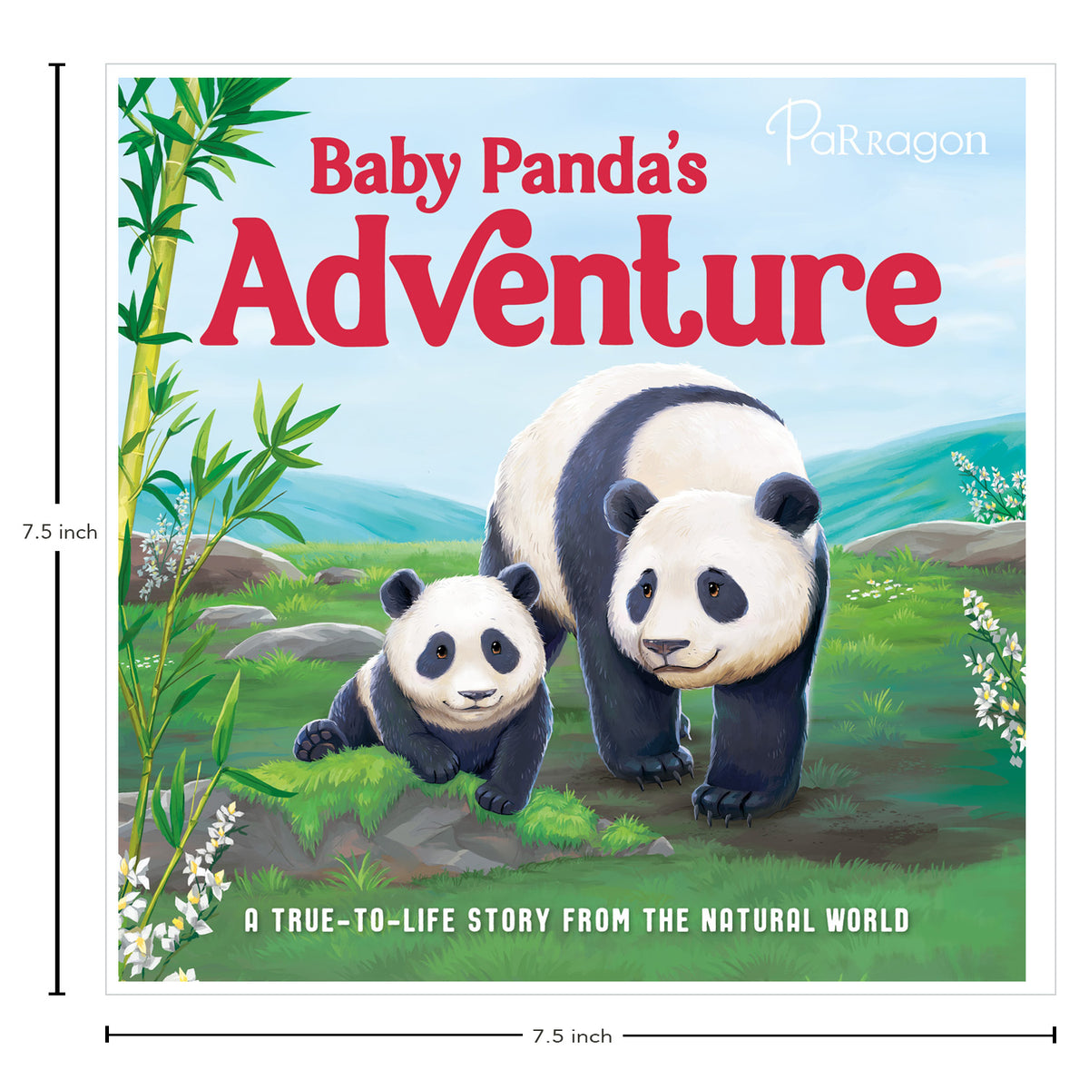 Baby Panda's Adventure | A True-to-Life Story From the Natural World | Story Book