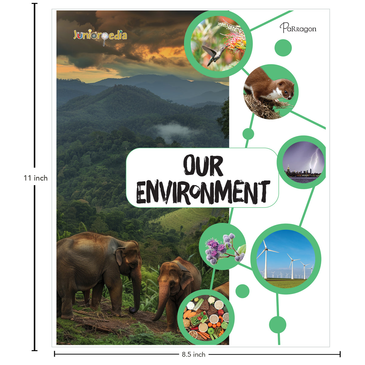 Juniorpedia: Our Environment A Fun Guide to Nature, Ecology, and Sustainability Ages 8 to 12