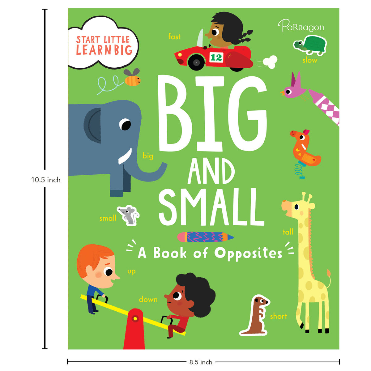 Start Little Learn Big: Big and Small