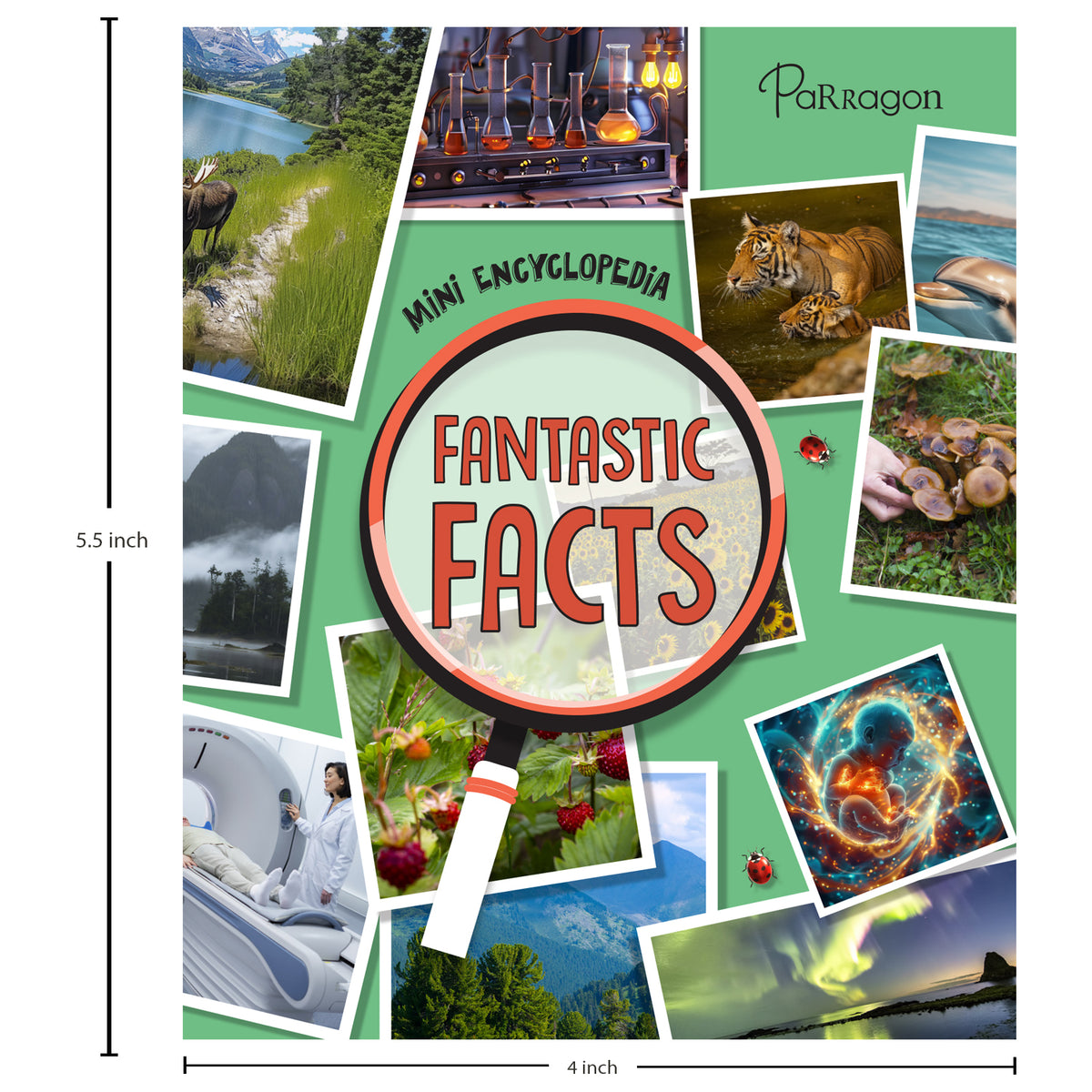 Mini Encyclopedia: Fantastic Facts Discover Trivia About Science, Nature, and More Ages 8 to 12