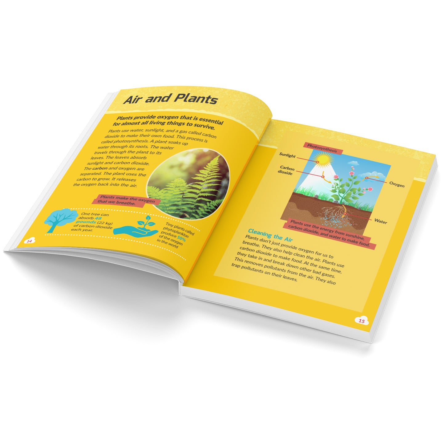 STEM Masters: Earths Resources | Reference Book for Kids | Encylopedia for Ages 7+