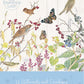 The Country Diary of an Edwardian Lady – Catkin Grove | 20 Premium Blank Greetingcards with Envelopes