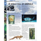 Fascinating Facts: Animals Reference Book Parragon