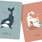 FIRST MOMENTS N. 2 - MY FIRST CARDS. NATURE