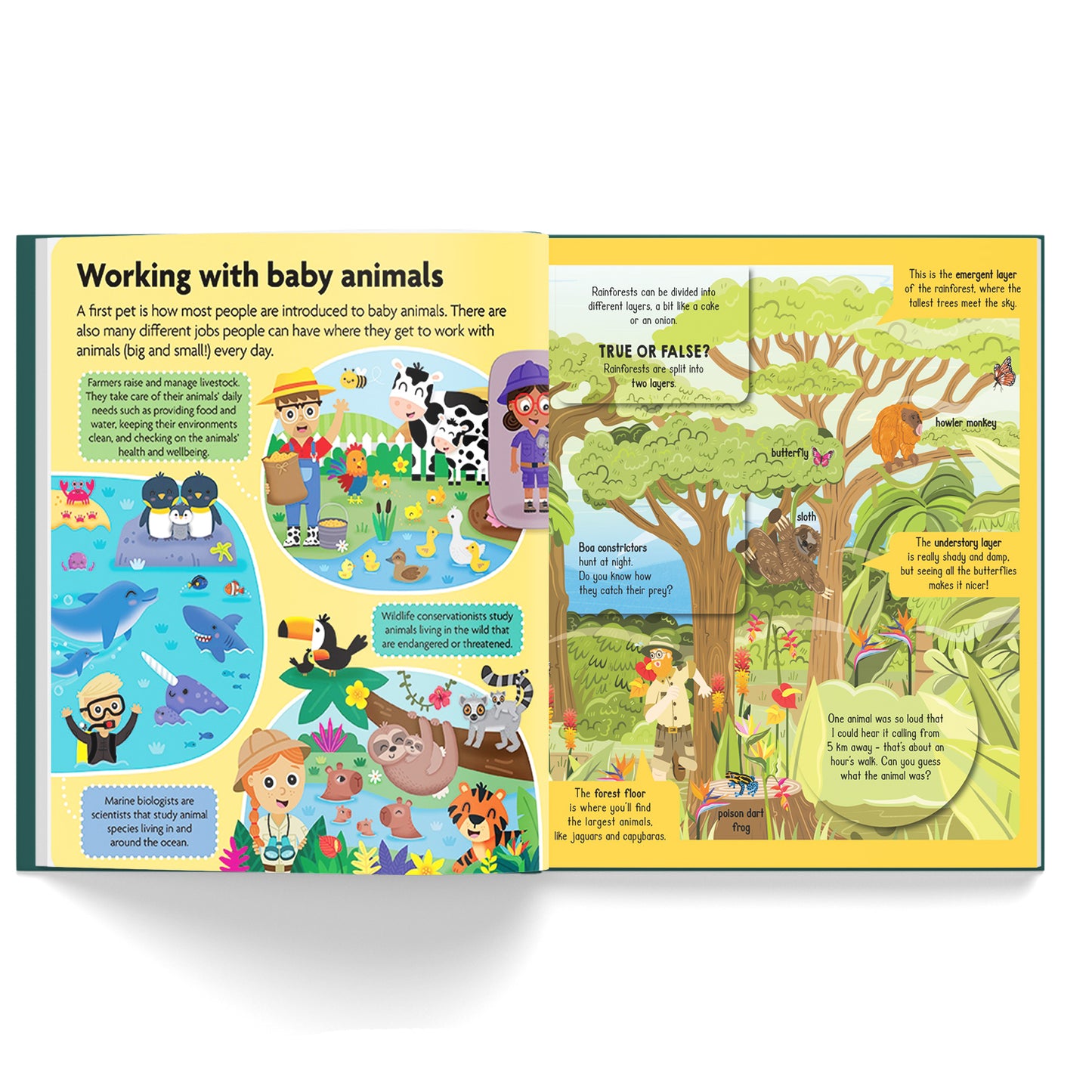 FunFacts - Lift the Flap Board Book - Baby Animals Educational Board Book | Early Learning | Baby Animals System Book for Kids | Lift-the-flap Book | ... Facts about Animals | Animal Facts for Kids