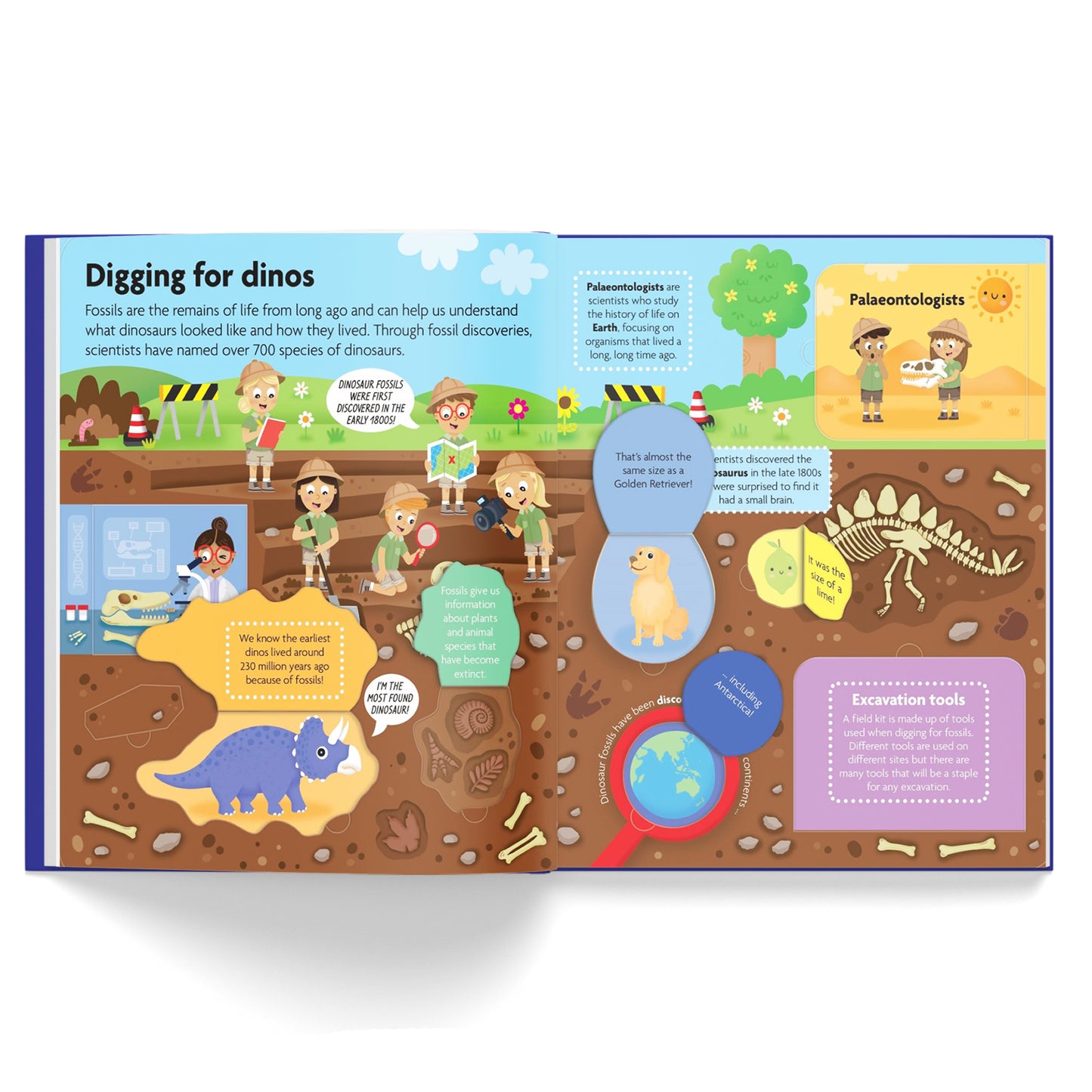 FunFacts - Lift the Flap Board Book - Discover Dinosaurs Educational Board Book | Early Learning | Dinosaur Book for Kids | Lift-the-flap Book | ... Book for Children | Dinosaur Facts for Kids