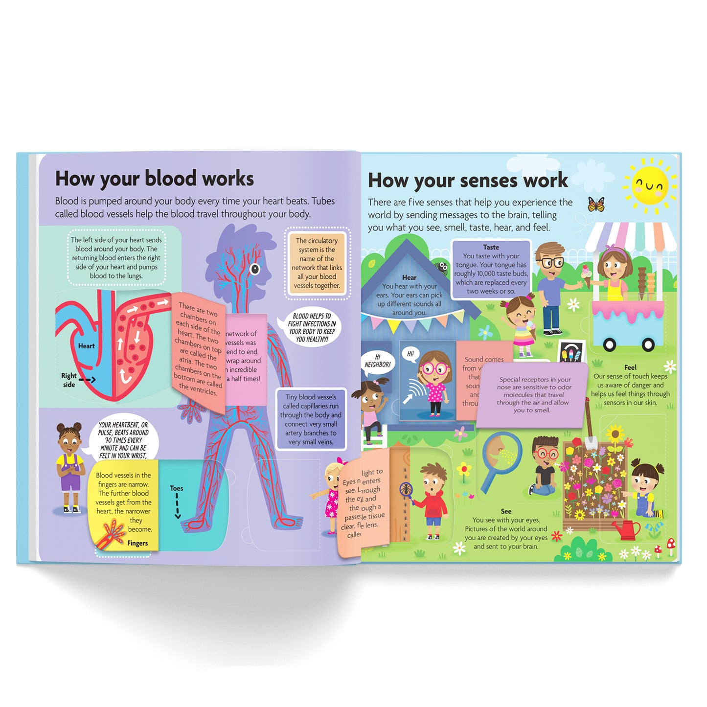 FunFacts - Lift the Flap Board Book - Discover the Human Body Educational Board Book | Early Learning | Human Body Book for Kids |Lift-the-flap Book | ... for Children | Human Anatomy facts for Kids
