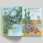 Fascinating Facts: Earth  | Reference Book for Kids | Encyclopedia for Ages 7+