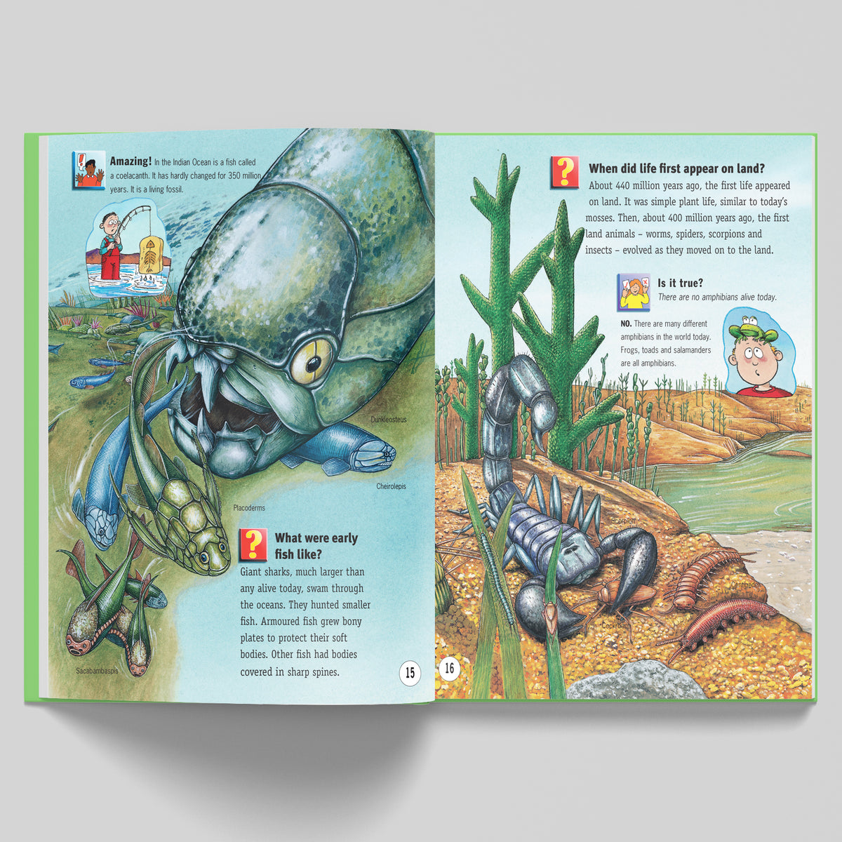 Fascinating Facts: Earth  | Reference Book for Kids | Encyclopedia for Ages 7+