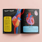 Know and Glow Human Body Sticker Activities| Sticker Activity Book | Glow Sticker Book | Fun Facts and Stickers | Activity Book | 6-8 Years