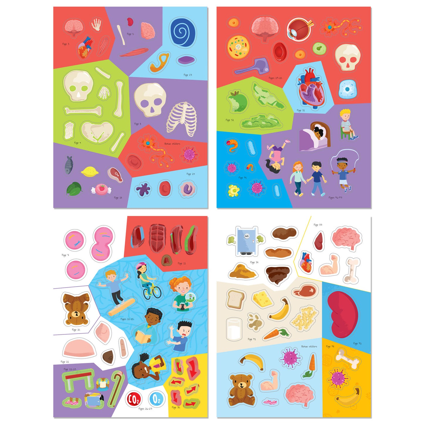Know and Glow Human Body Sticker Activities| Sticker Activity Book | Glow Sticker Book | Fun Facts and Stickers | Activity Book | 6-8 Years