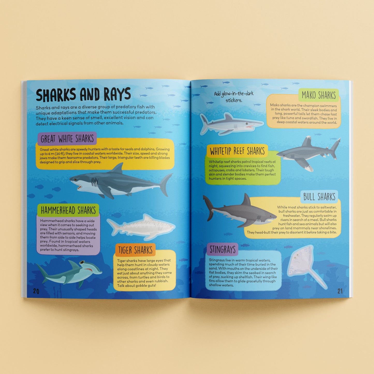 Know and Glow Predator Sticker Activities | Sticker Activity Book | Glow Sticker Book | Fun Facts and Stickers | Activity Book | 6-8 Years