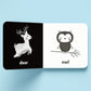 Nature A High-Contrast Board Book | Black and White Board Book | For Toddlers