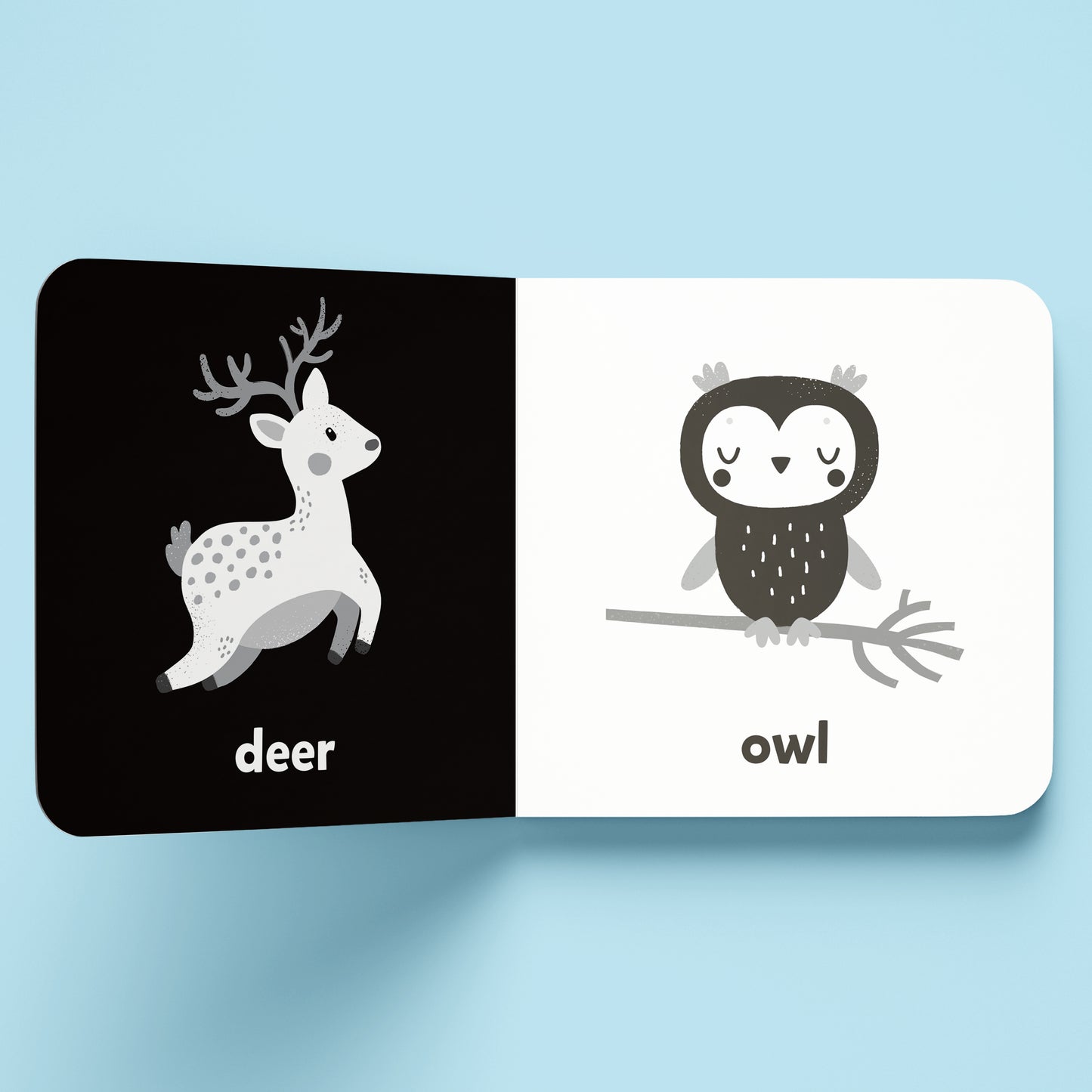 Nature A High-Contrast Board Book | Black and White Board Book | For Toddlers