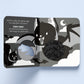 High Contrast Rawr Rawr! Touch and Feel Board Book