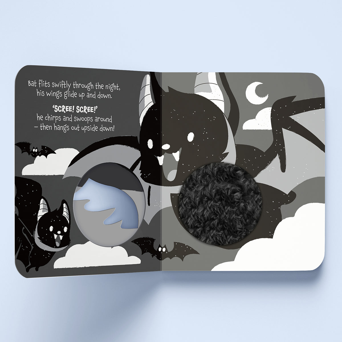 High Contrast Rawr Rawr! Touch and Feel Board Book