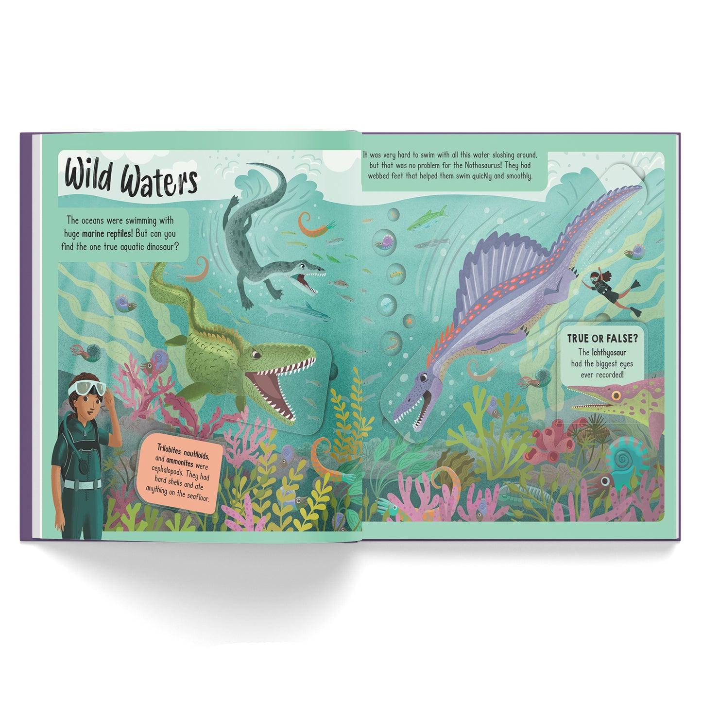 Lift-the-Flap Adventure Hunt: Dinosaur Adventure | Interactive Prehistoric Exploration Book for Kids | Discover Dinosaurs, Fun Facts & Fossils | Book for Ages 6-8