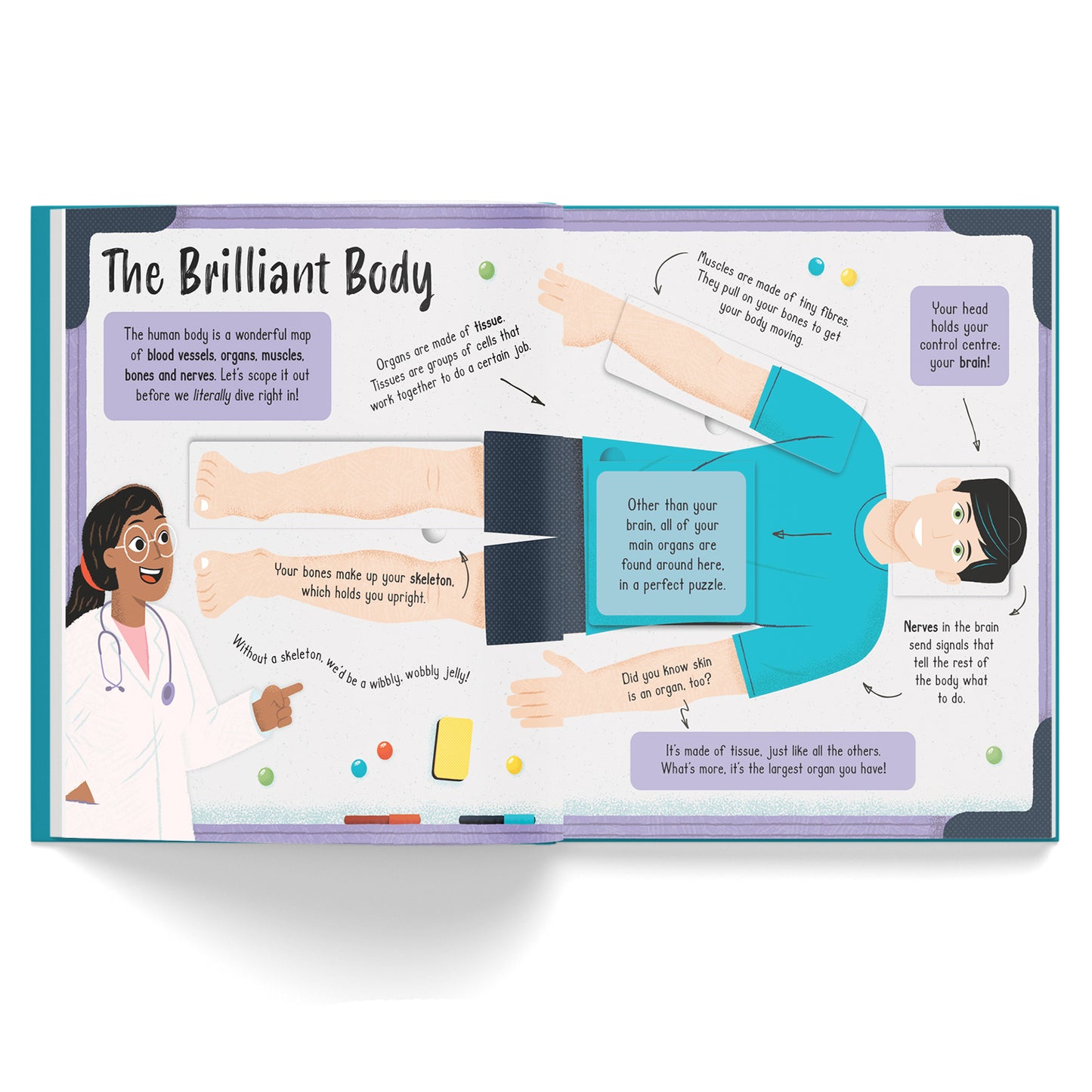 Lift-the-Flap Adventure Hunt: Human Body Adventure | Interactive Anatomy Book for Kids | Explore How the Body Works with Fun Facts & Flaps | Book for Ages 6-8
