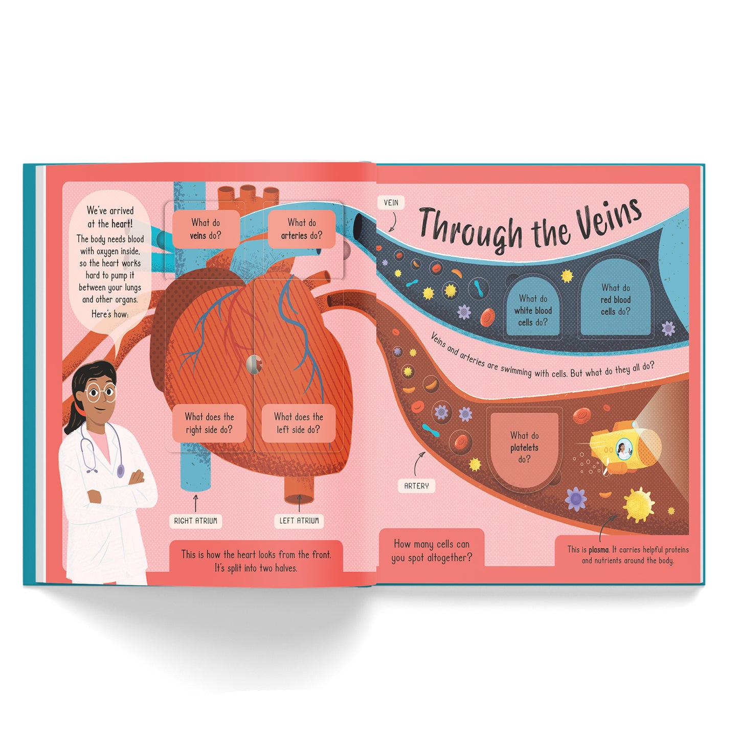 Lift-the-Flap Adventure Hunt: Human Body Adventure | Interactive Anatomy Book for Kids | Explore How the Body Works with Fun Facts & Flaps | Book for Ages 6-8