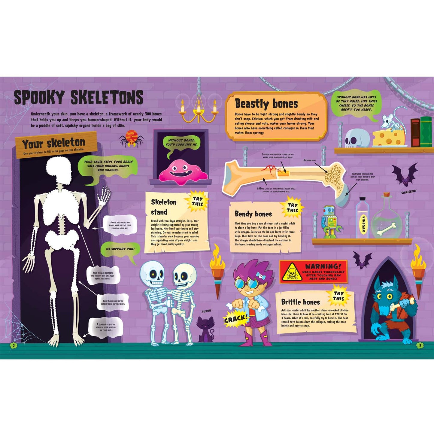The Human Body - A Monster Activity Book