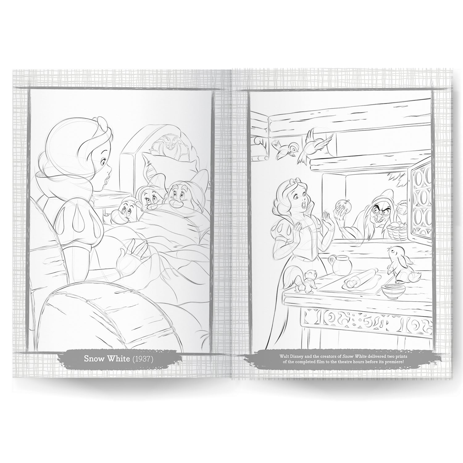 Disney: 100 Years of Disney Disney 100 Years of Wonder D100