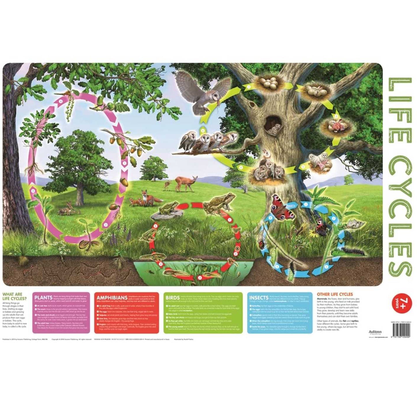 Wallchart Pack of 2 Parragon