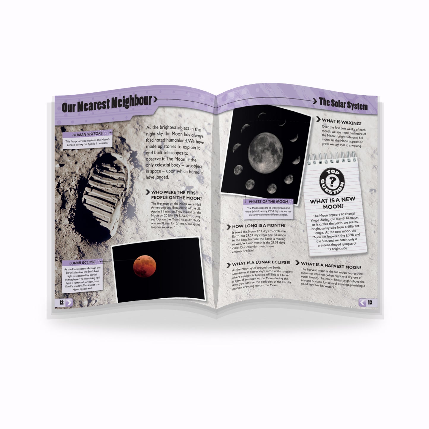 Great Book of Everything | Kids Fact Book | Children’s Encyclopedia | Fun Facts for Kids |  General Knowledge Book for Kids