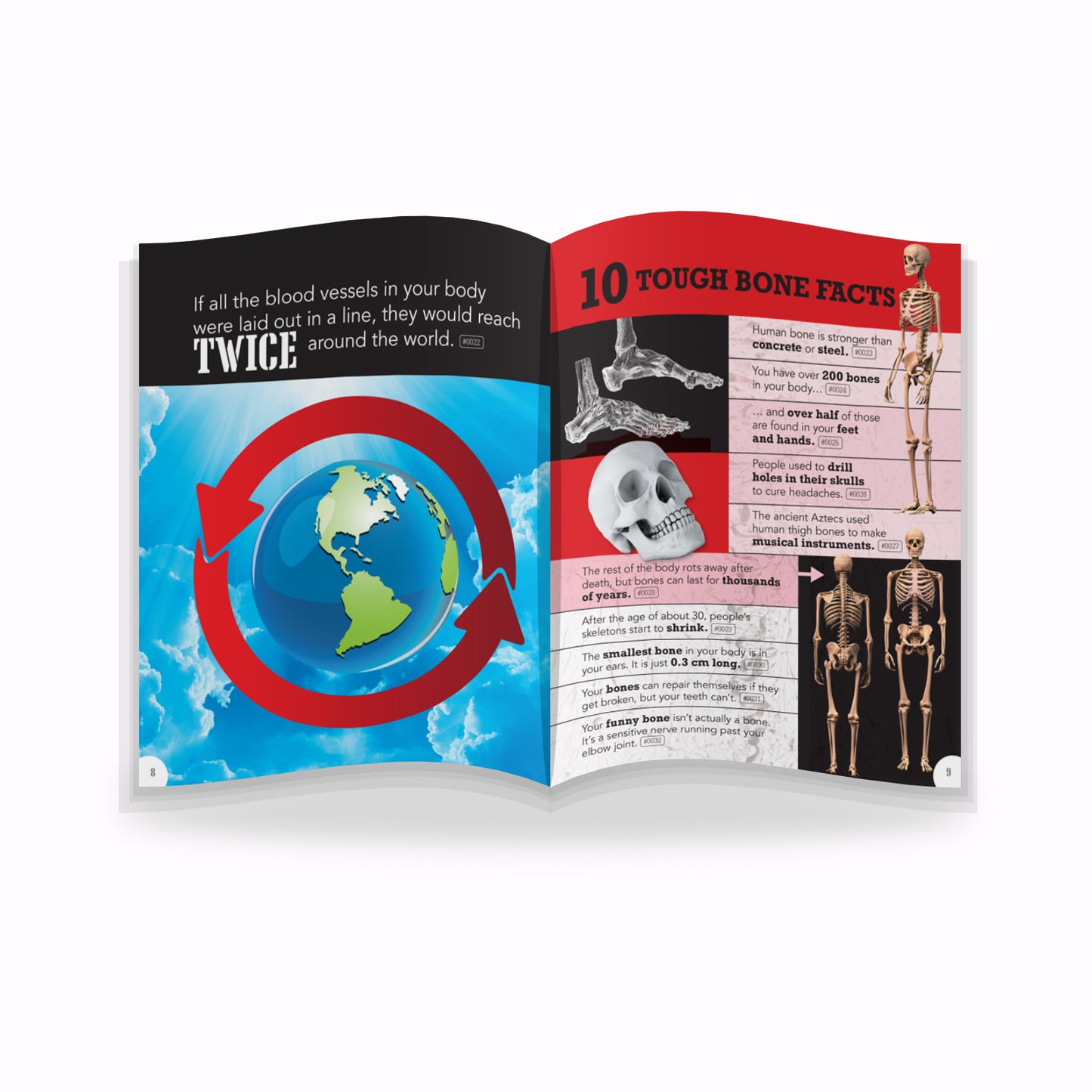 5001 Incredible Facts About Everything | Fact Book for Children | General Knowledge Book for Kids | Reference Book with Pictures