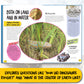 Juniorpedia: Incredible Earth Discover the Wonders of Our Planet for Kids Ages 8 to 12