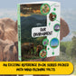 Juniorpedia: Our Environment A Fun Guide to Nature, Ecology, and Sustainability Ages 8 to 12