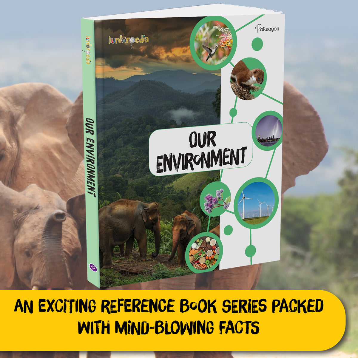 Juniorpedia: Our Environment A Fun Guide to Nature, Ecology, and Sustainability Ages 8 to 12