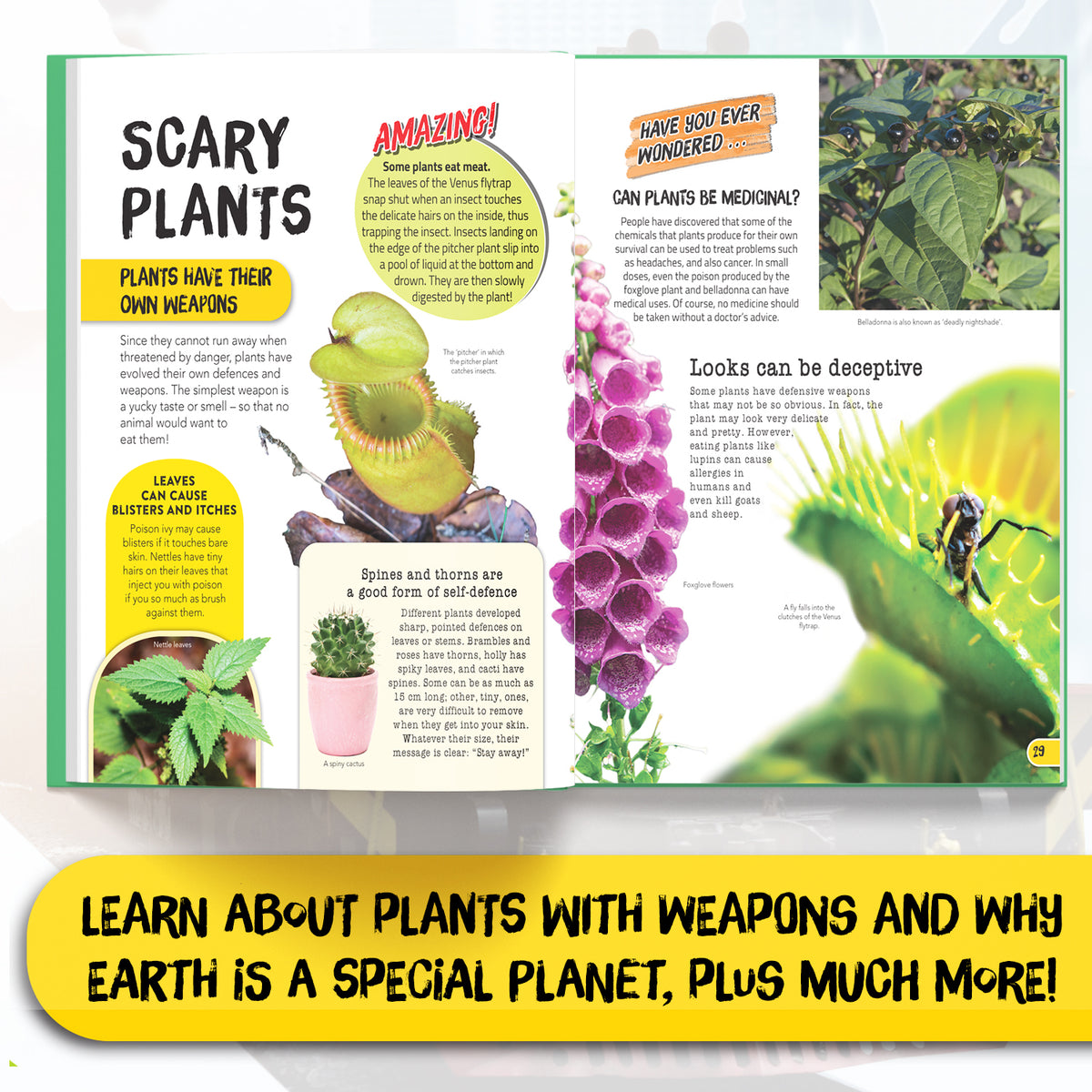 Juniorpedia: Our Environment A Fun Guide to Nature, Ecology, and Sustainability Ages 8 to 12