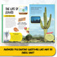 Juniorpedia: Our Environment A Fun Guide to Nature, Ecology, and Sustainability Ages 8 to 12