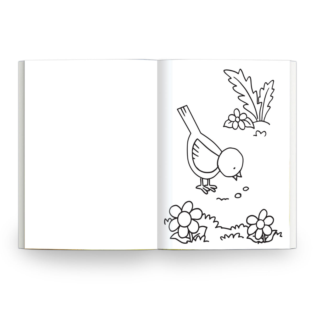My Bold Red Book of Colouring |For Kids 3–6 Years | 32 Large and Simple Pictures to Colour