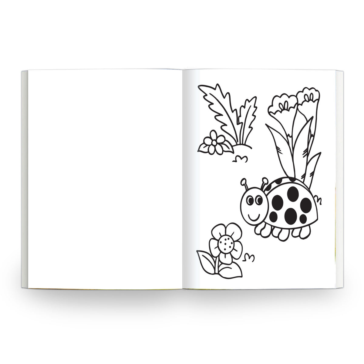 My Sunny Yellow Book of Colouring |For Kids 3–6 Years | 32 Large and Simple Pictures to Colour