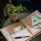 Greeting Cards Organiser Endangered Wildlife Theme