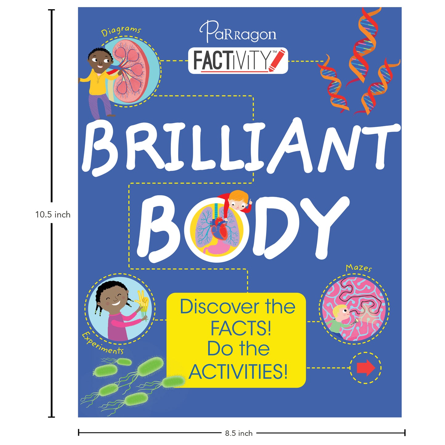 Factivity: Brilliant Body Discover the facts! Do the Activities Book [Paperback] Parragon