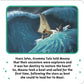Disney Moana | Board Books | Moana | Storybooks for children| Bedtime Stories