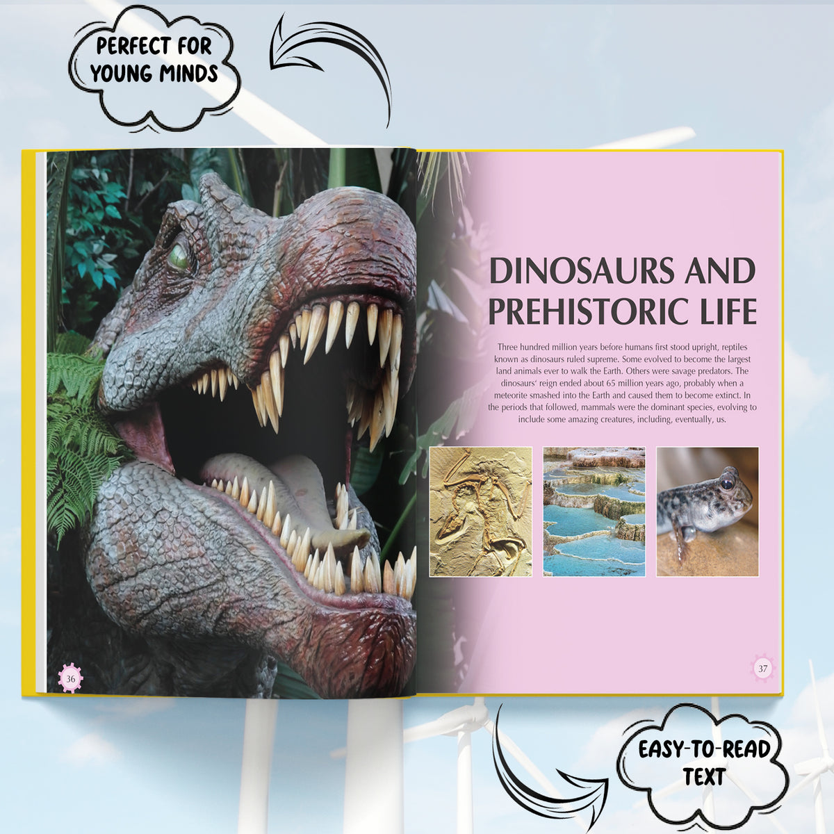 Mini Encyclopedia: Knowledge A Fascinating Guide to Science, History, and More for Kids Ages 8 to 12
