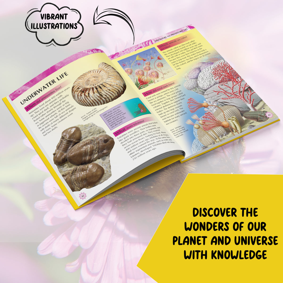 Mini Encyclopedia: Knowledge A Fascinating Guide to Science, History, and More for Kids Ages 8 to 12