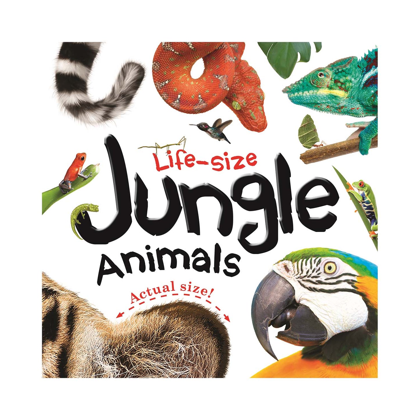 Life-Size Jungle Animals (Life-size Boards) Parragon Publishing India